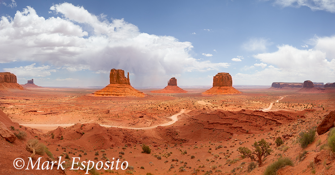 Monument Valley Landscapee