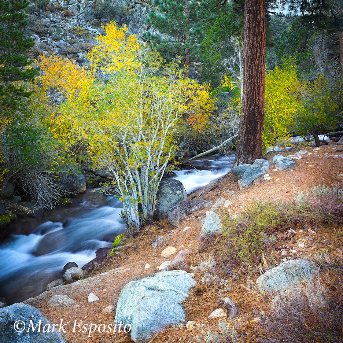 Bishop Stream Bishop Stream