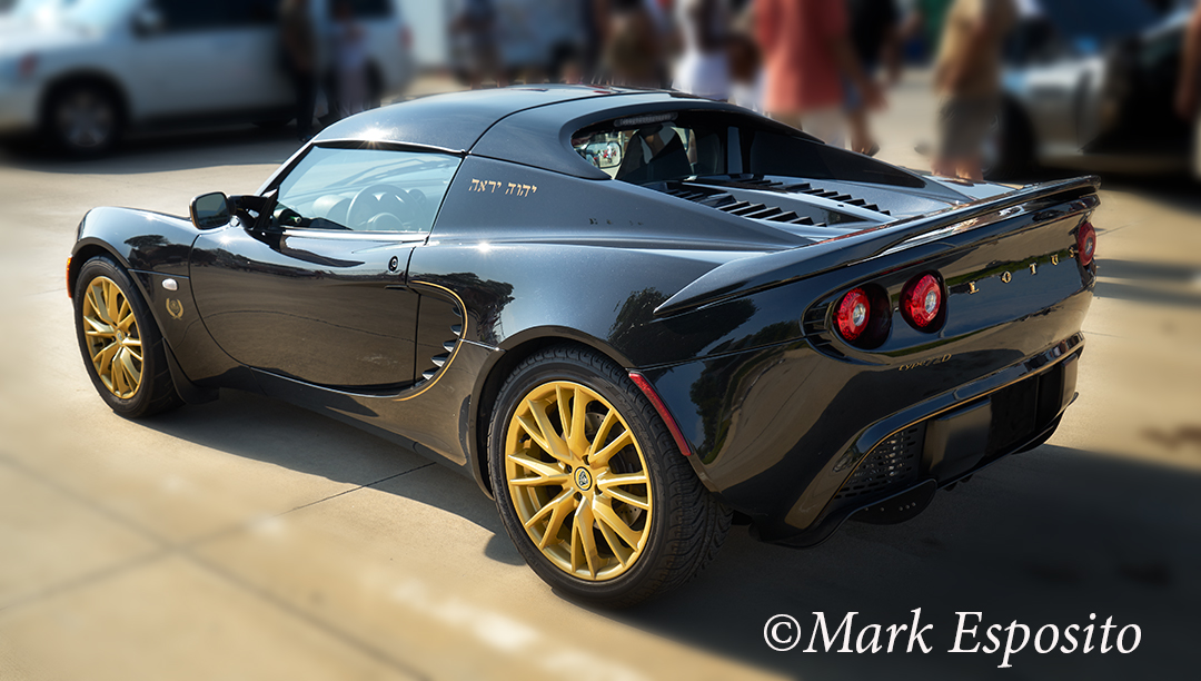Lotus