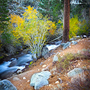 Bishop CA Stream