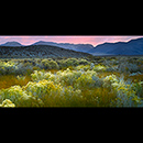 Mono Lake