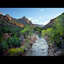 Watchtower, Zion